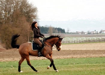 Freizeit Rebecca Boeckh bei Winterhalter Freizeit Rebecca Boeckh bei Winterhalter